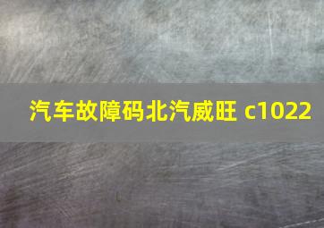 汽车故障码北汽威旺 c1022